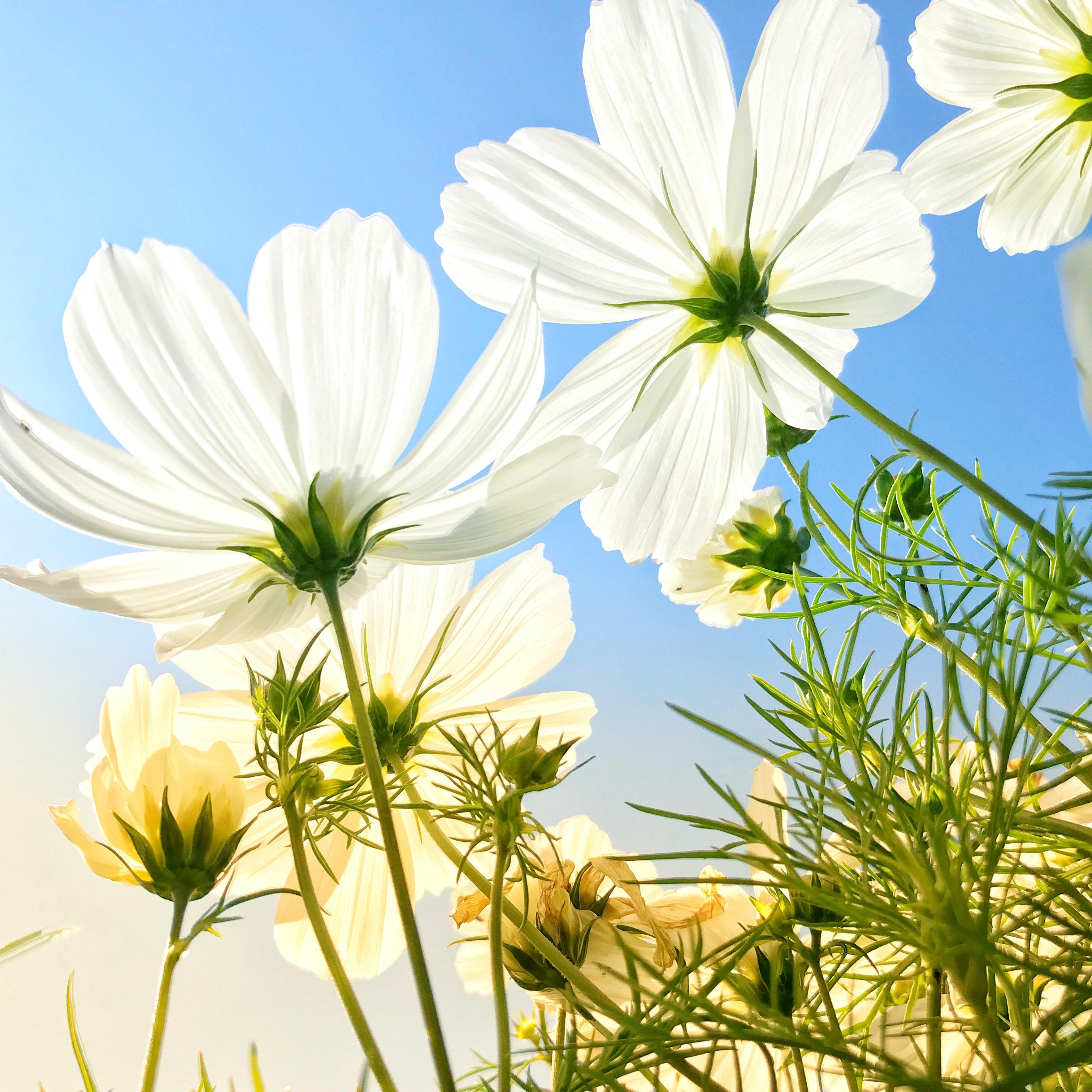 График работы в мае 2021 года | Логистика Запад