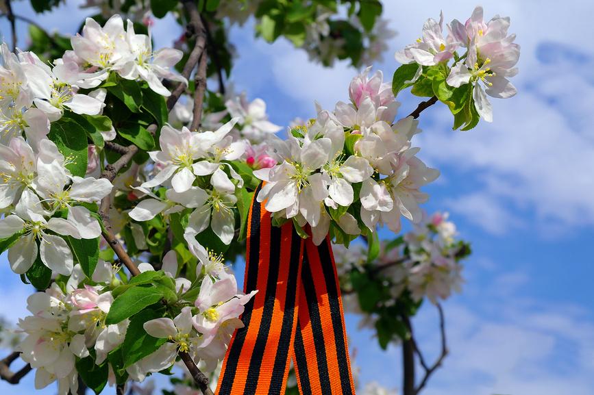 График работы на период майских праздников 2022 | Логистика Запад