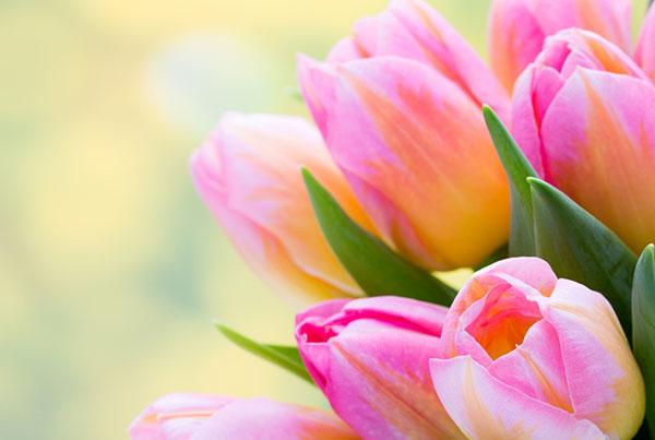 График работы на майские праздники в 2019 году – Логистика Запад